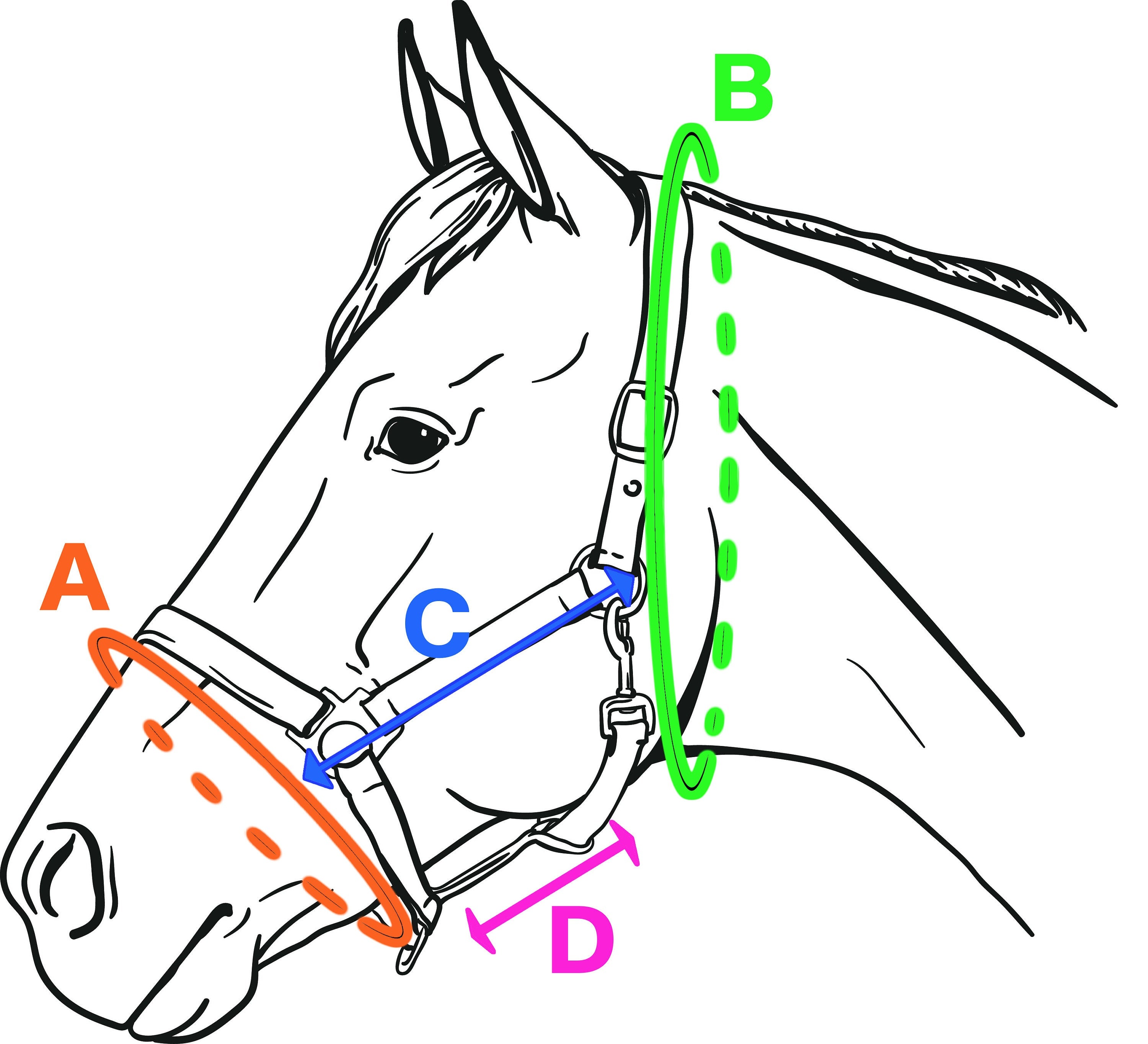 Adjustable Black Fur Halter & Reins for A3 Hobbyhorse – Soft, Stylish & Comfortable